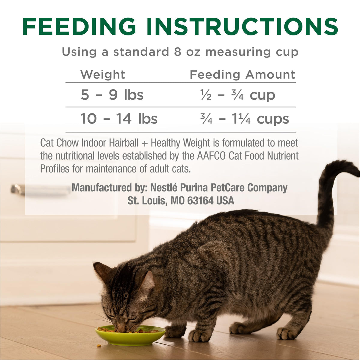 Indoor Dry Cat Food 6.3 lb. Bag S413868