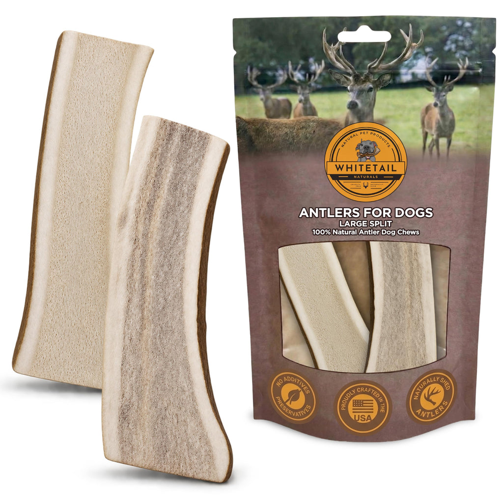 Split Elk Antler for Large Dogs, 2 Pack B7641