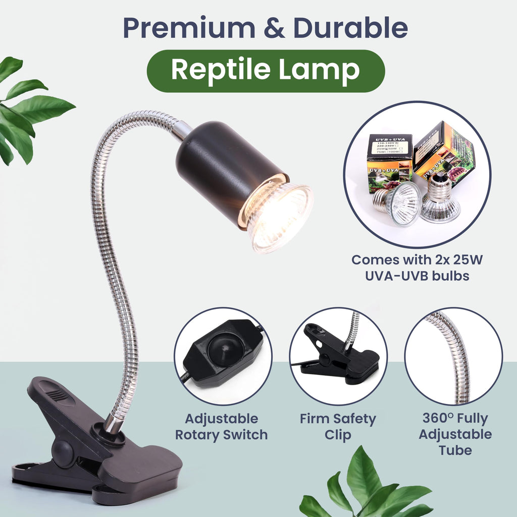 Black Turtle Tank Kit with Filter, UVB Lamp and Basking Platform N441446