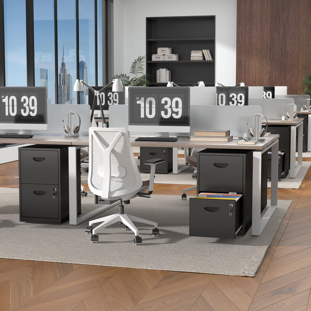 2 Drawer Metal File Cabinet with Lock G896636