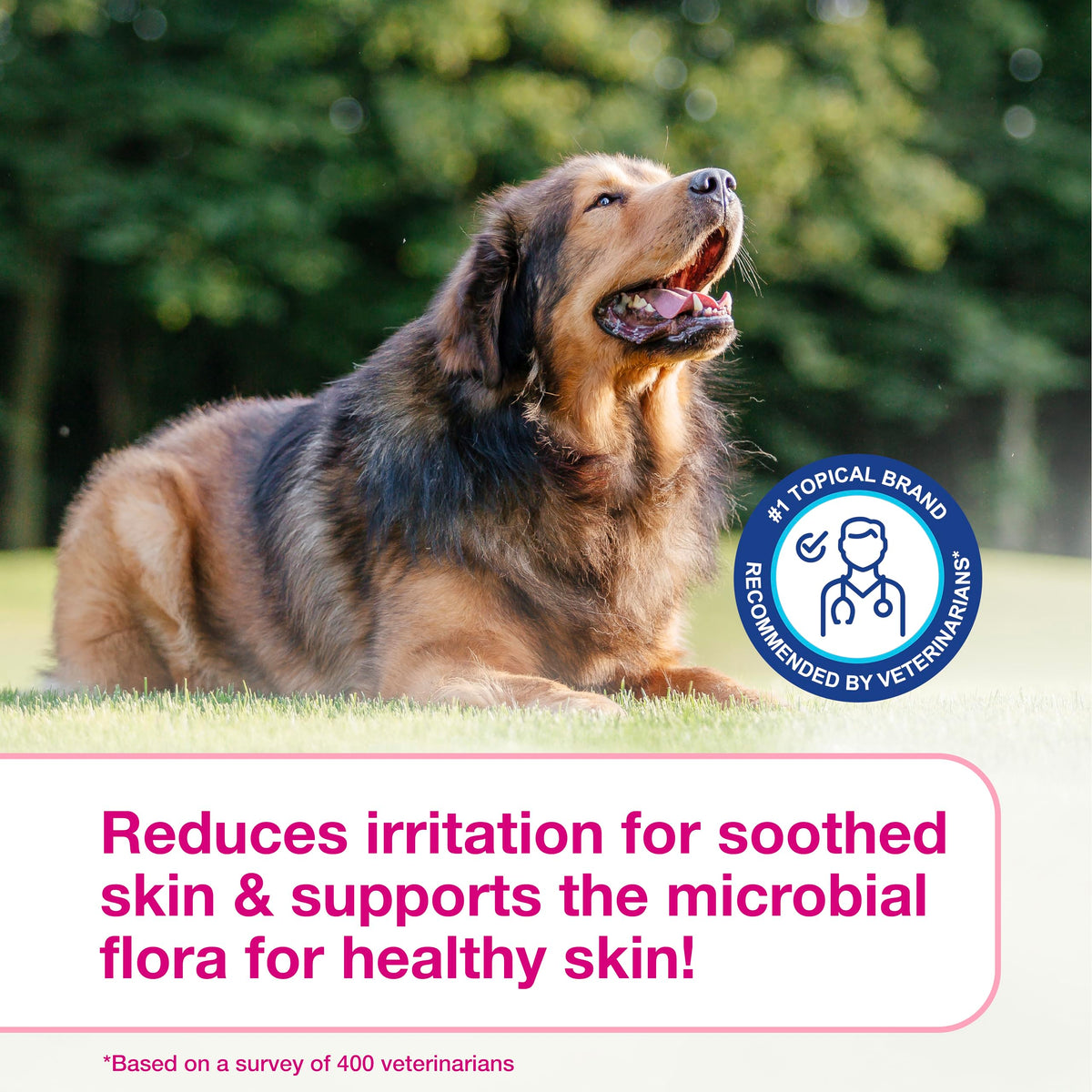 Dog Shampoo for Itchy Skin 6.7 fl oz W65950